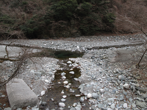 20190205hike (17)